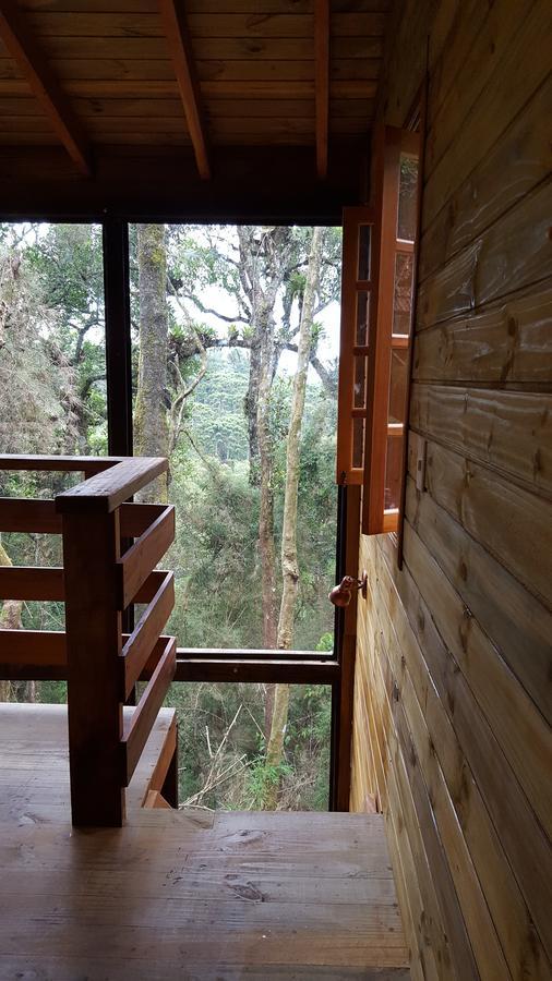Chale Dos Tucanos- Parede De Vidro Com Linda Vista Campos do Jordao Luaran gambar